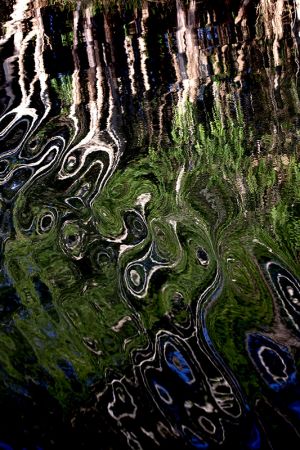 Kakadu Water Patterns